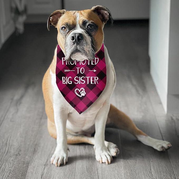 Promoted to Big Sister Dog Bandana Gender Reveal