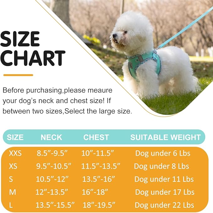 Dog Harness and Leash Set