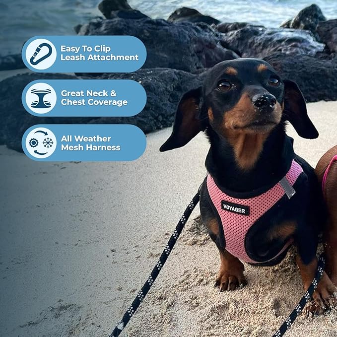 Voyager Step-in Air Dog Harness 16-18")