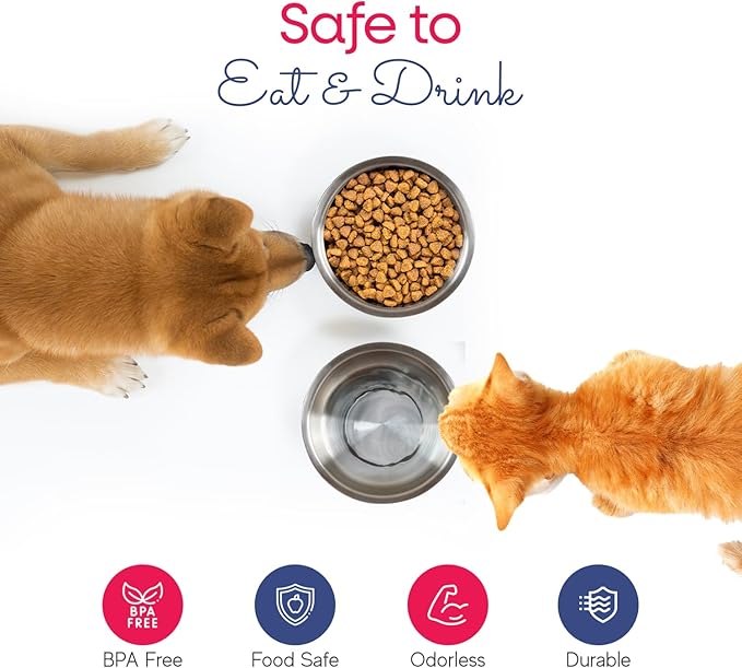 Stainless Steel Pet Bowl 74 Oz/2200ml)