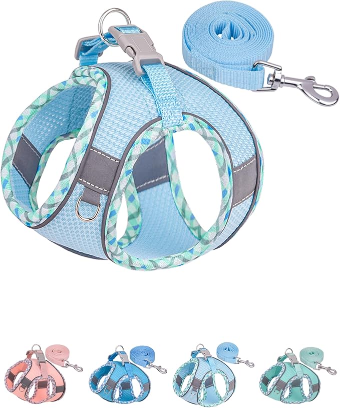 Petank Dog Harness for Small Medium Dogs No Pull