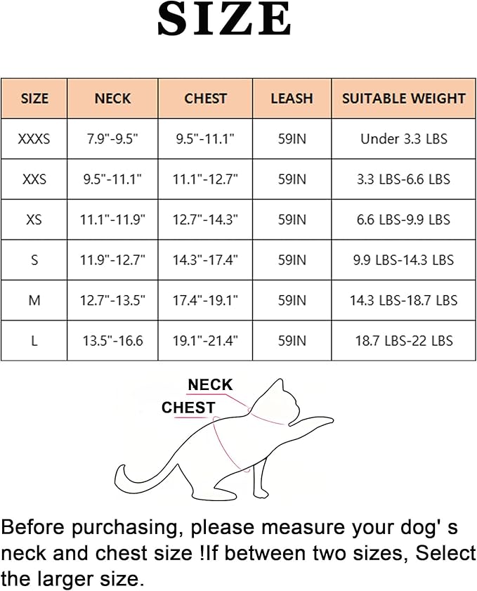 M Black Soft Mesh Dog Harness and Leash Set
