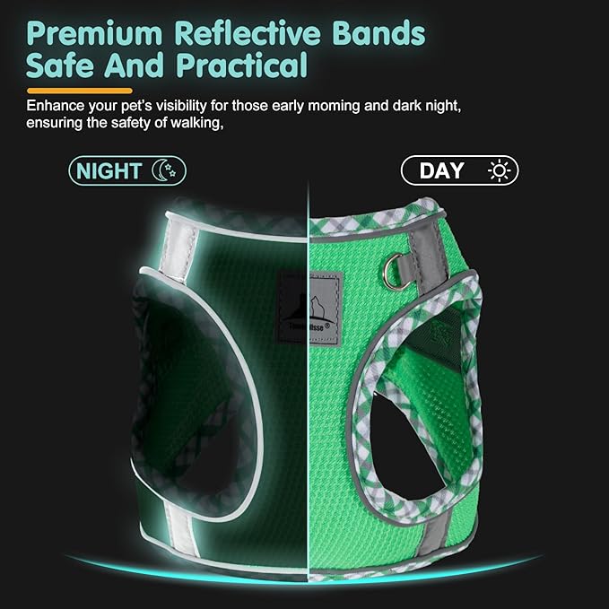 Dog Harness and Leash Set