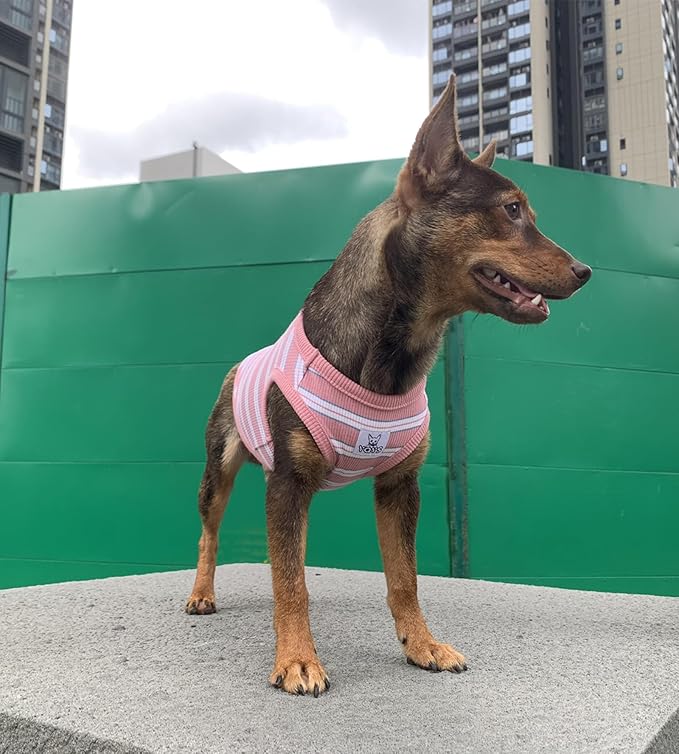 YQYS Dog Shirts Multi-Color Striped Cotton Vest for Small Dogs and Cats Puppy Clothes Teacup Dog Clothing Tank Top for Chihuahua Miniature Pinscher Pink Small