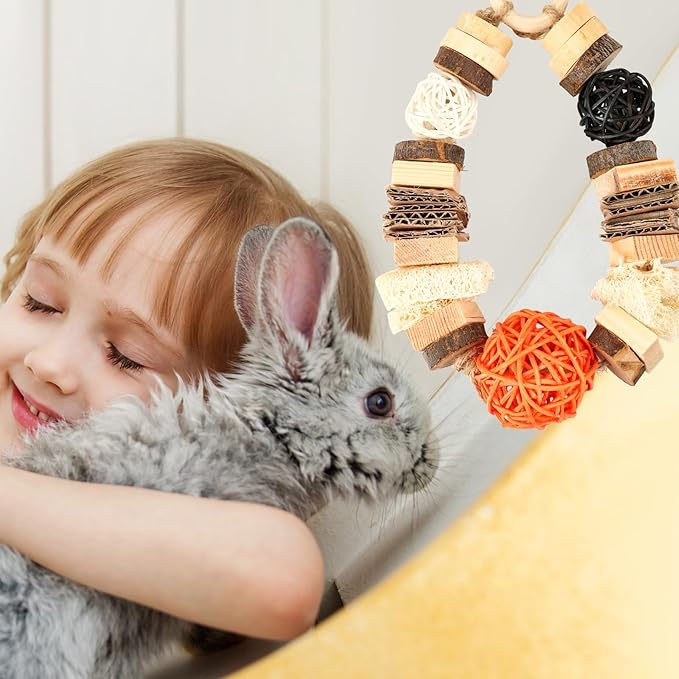 Abizoo Guinea Pig Chew Toys