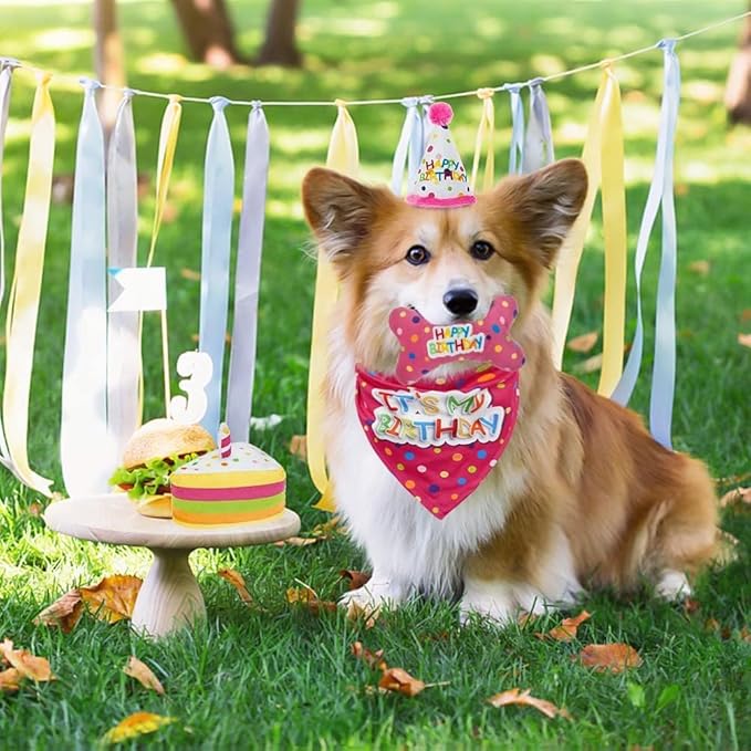BINGPET Dog Birthday Bandana Set with Cake