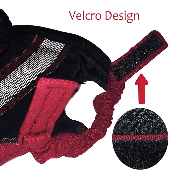 Legs Out Front Dog Carrier Hands-Free Pet Backpack