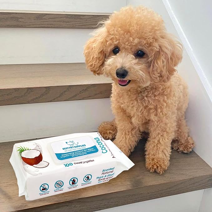 Best Pet Supplies 8" x 9" Pet Grooming Wipes for Dogs & Cats 100 Pack,