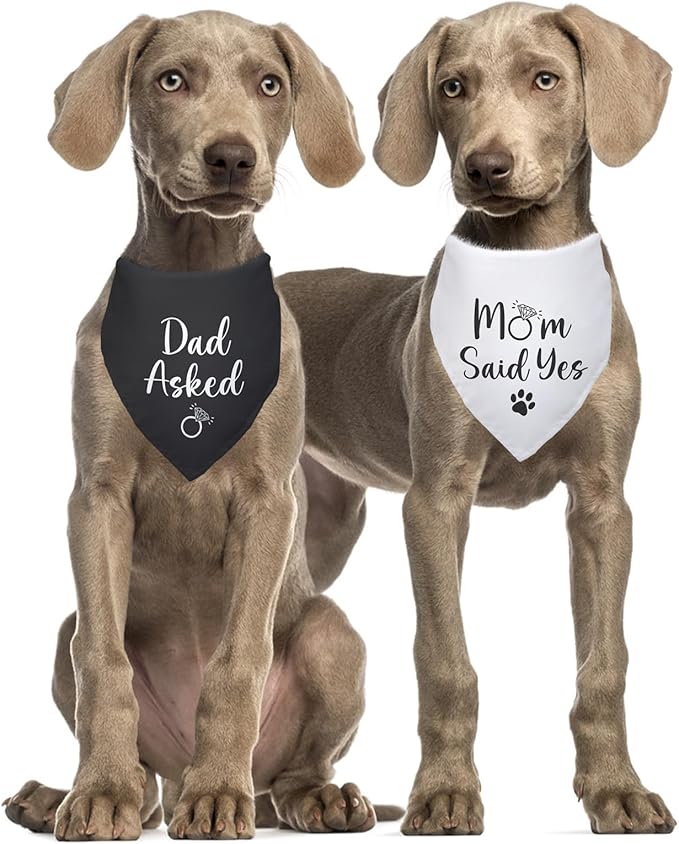 Dad Asked and Mom Said Yes Dog Bandana 2
