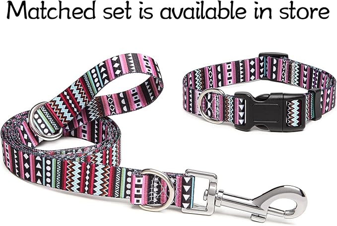 Adjustable Dog Collar with Patterns