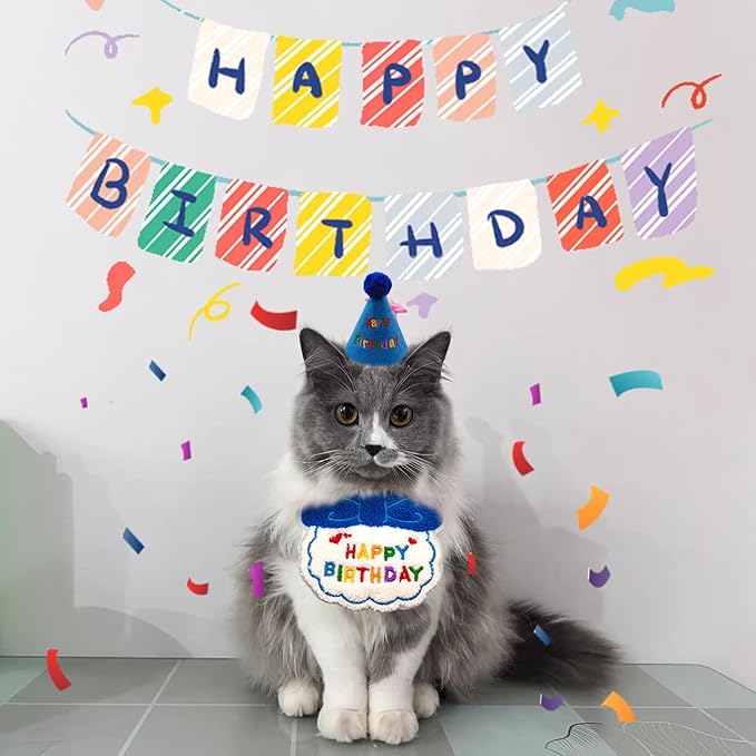 Dog Cat Birthday Party Supplies Outfit Bandana Bib