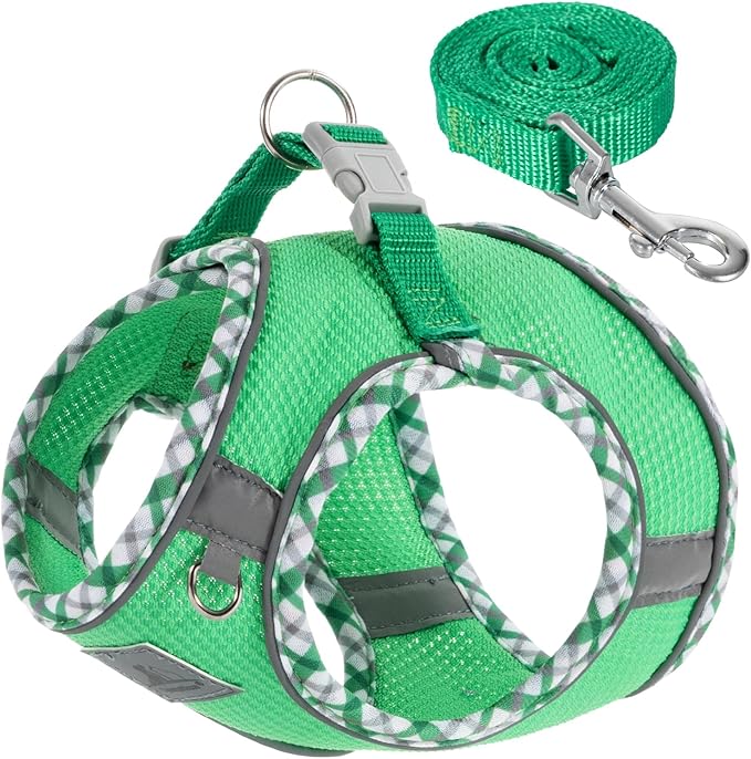 Dog Harness and Leash Set