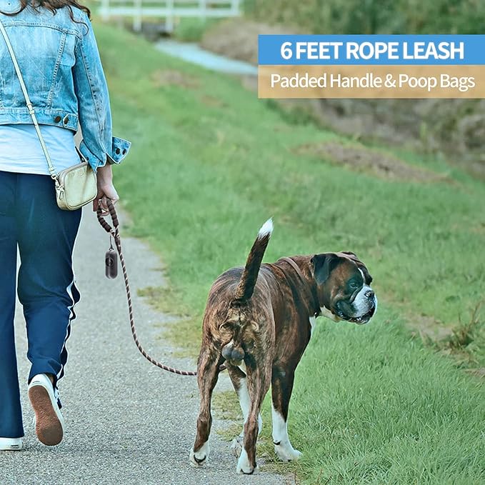 BAAPET 2/4/5/6 FT Dog Leash with Comfortable Padded Handle and Highly Reflective Threads for Small Medium and Large Dogs (6FT-1/2''