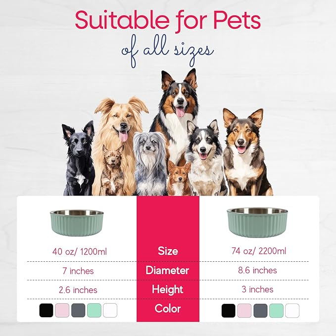 Stainless Steel Pet Bowl 40 Oz/1200ml)