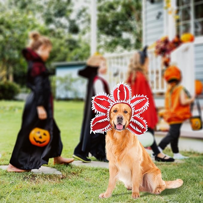HOTUMN Dog Halloween Costume