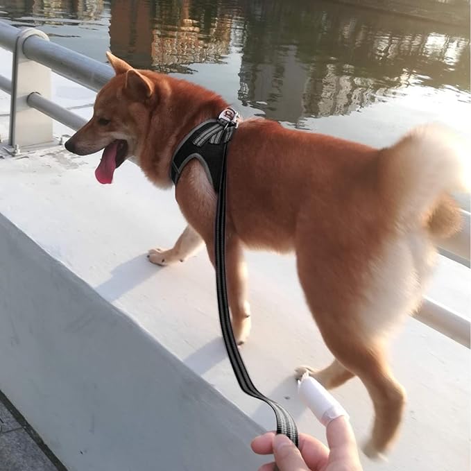 YIMEIS Dog Harness and Leash Set
