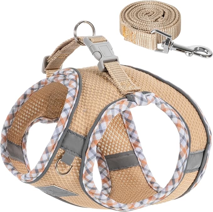 Dog Harness and Leash Set