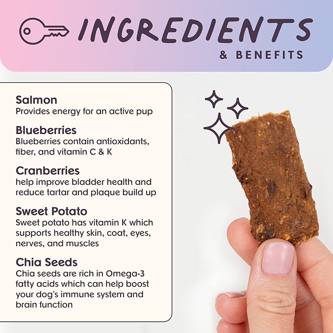 Ride & Vibe Dog Treats 5oz