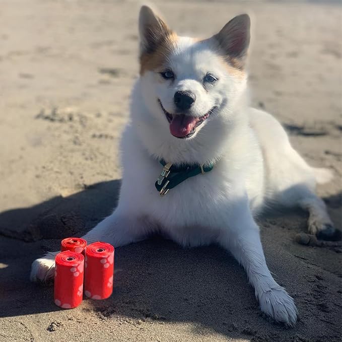 Best Pet Supplies Dog Poop Bags (240 Bags) for Waste Refuse Cleanup