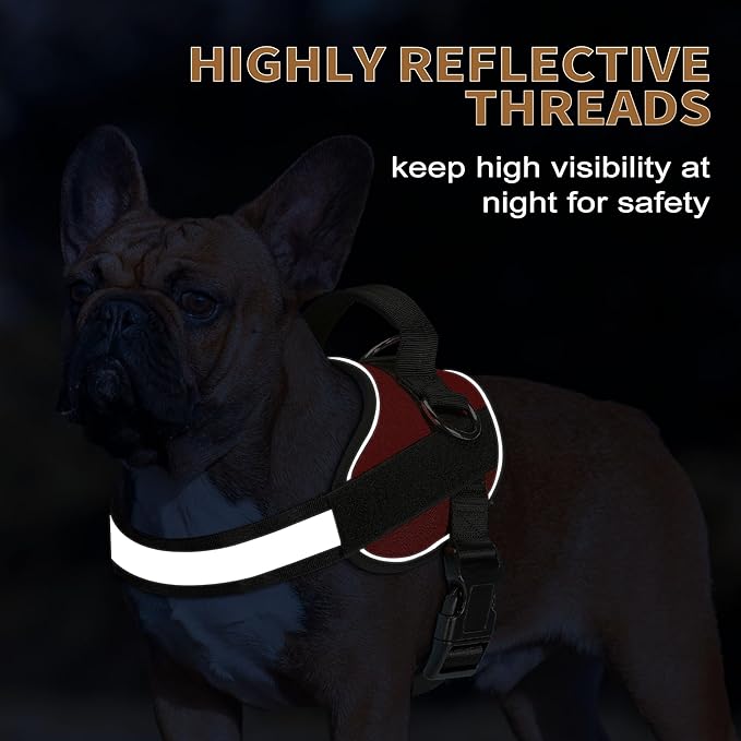 Haapaw Essential Dog Harness 3 Leash