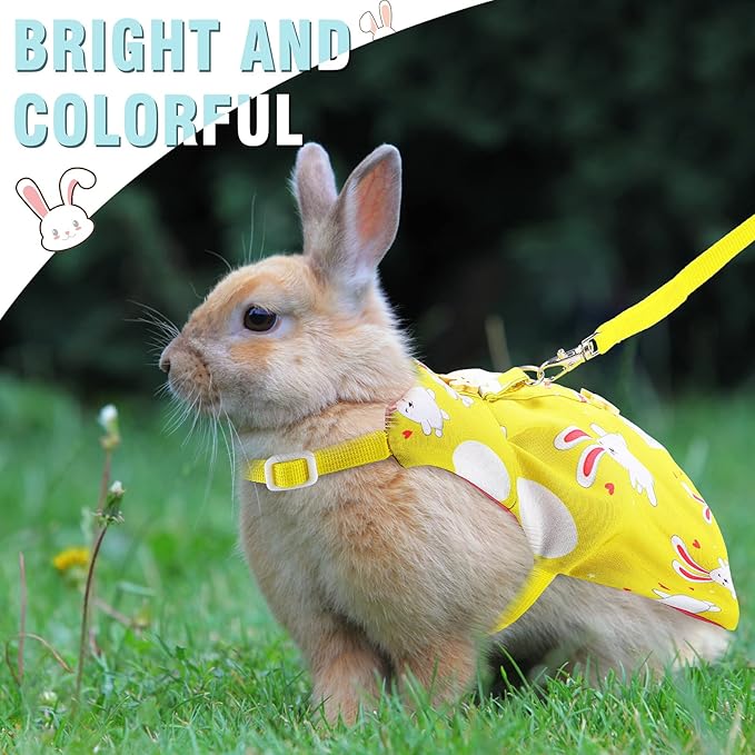 3 Piece Cute Rabbit Leash and Harness Set