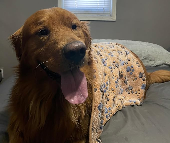 Pet Blankets Toffee Toasted Brown Collection. Pet Blankets for Cats