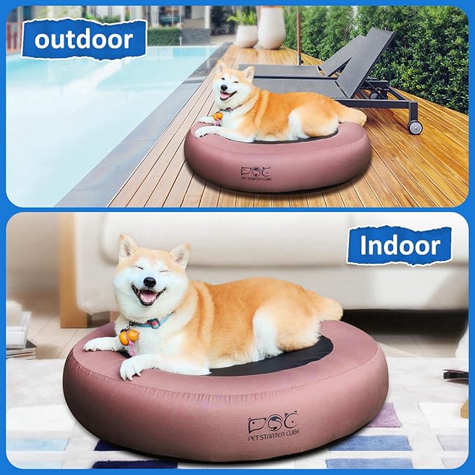 Elevated Dog Bed