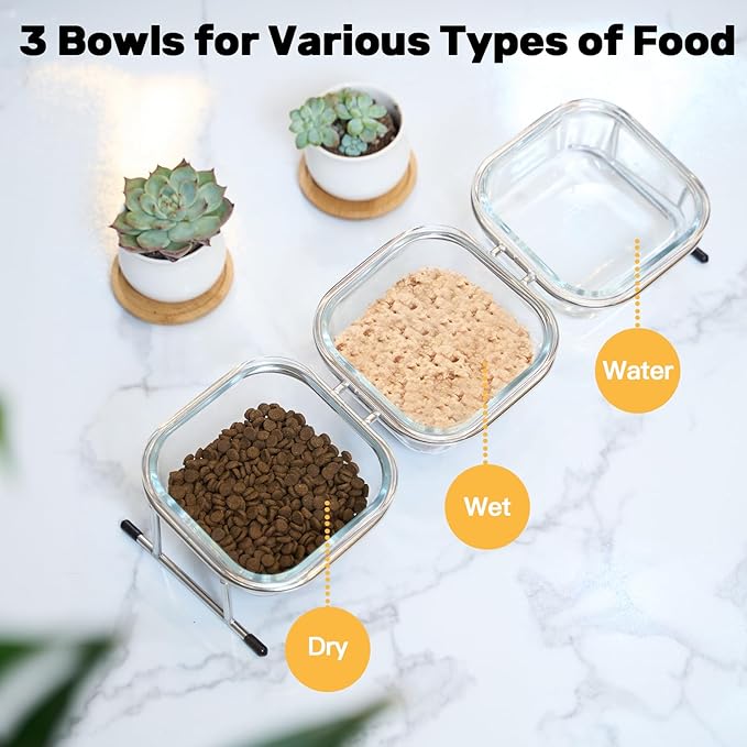 Elevated Cat Bowls 15° Tilted 3 Glass 4 Anti
