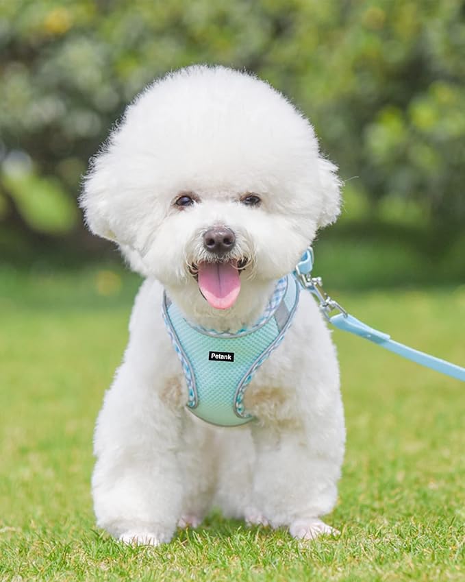 Petank Dog Harness for Small Medium Dogs No Pull