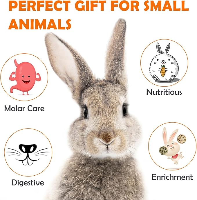 Sofier 18pcs Timothy Hay Treats Rabbit Toys Natural