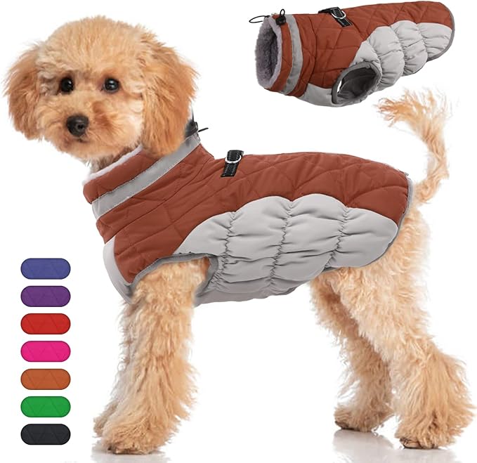 Dog Winter Jacket Cozy Reflective Waterproof Windproof Warm Pet Garment