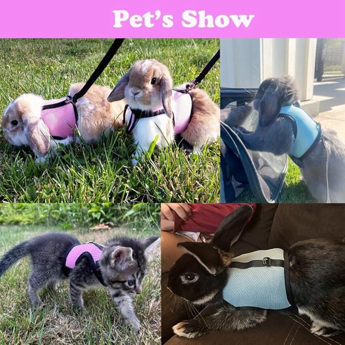 Guinea Pig Harness and Leash Set