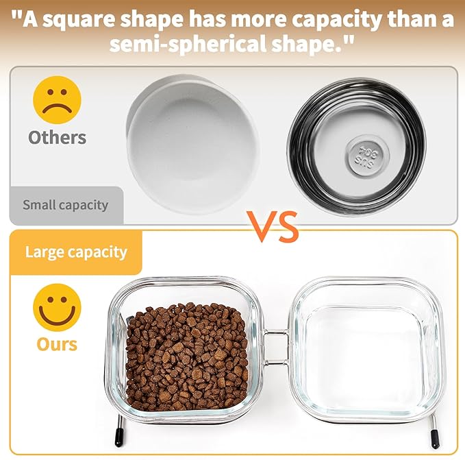 Elevated Cat Bowls 15° Tilted 2 Large 4 Anti