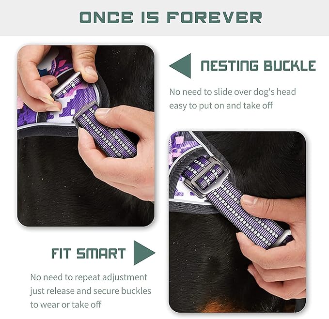 BUMBIN Tactical Dog Harness for Small Dogs No Pull