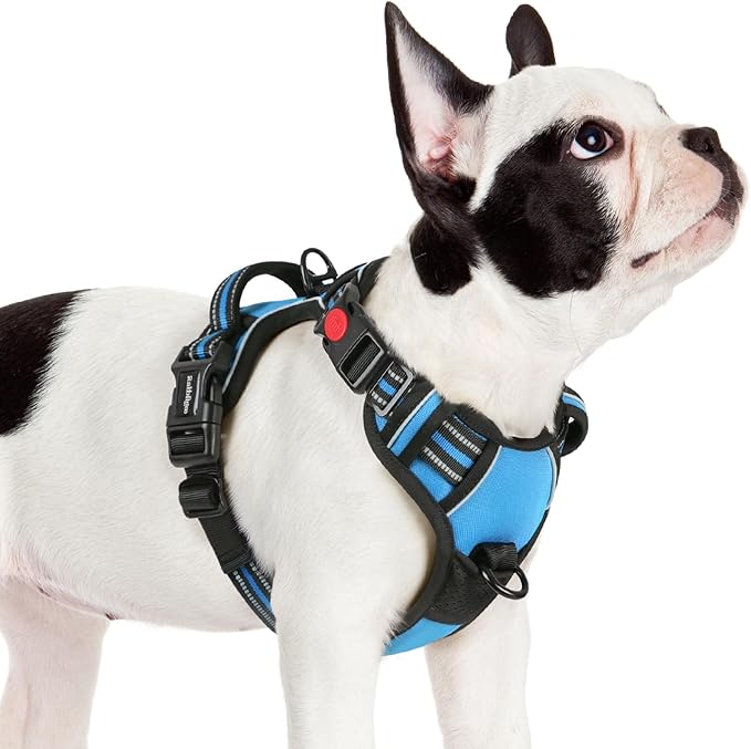 rabbitgoo Dog Harness Small Sized 3 Buckles,
