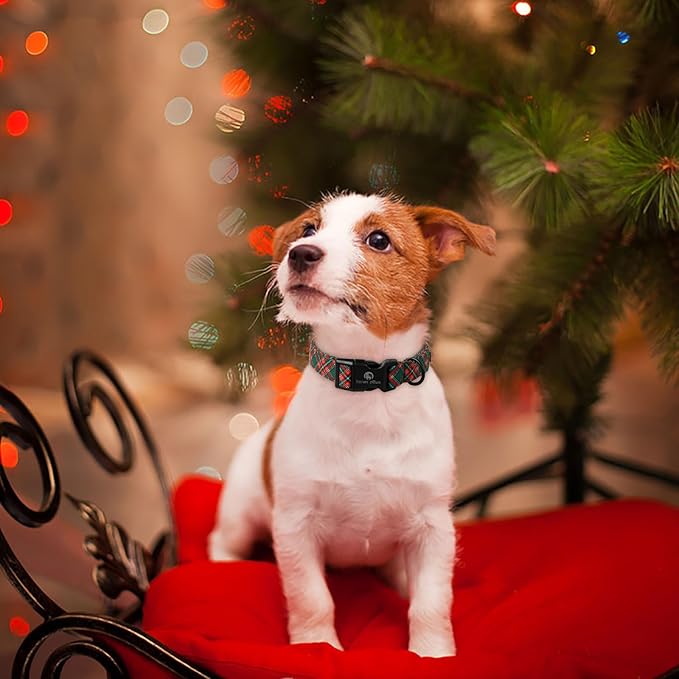 Lionet Paws Black Dogs Collar Halloween 8-12 inches