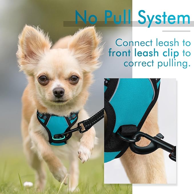 rabbitgoo Dog Harness 2 Leash