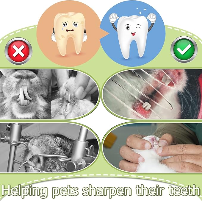 100g Natural Sweet Bamboo Chew Toys for Teeth