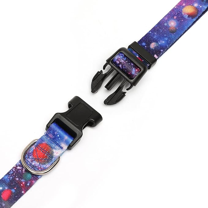 Adjustable Dog Collar with Patterns
