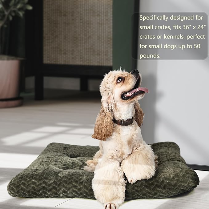 Dog Crate Bed 36 x 24 Crate Pads 70 lbs