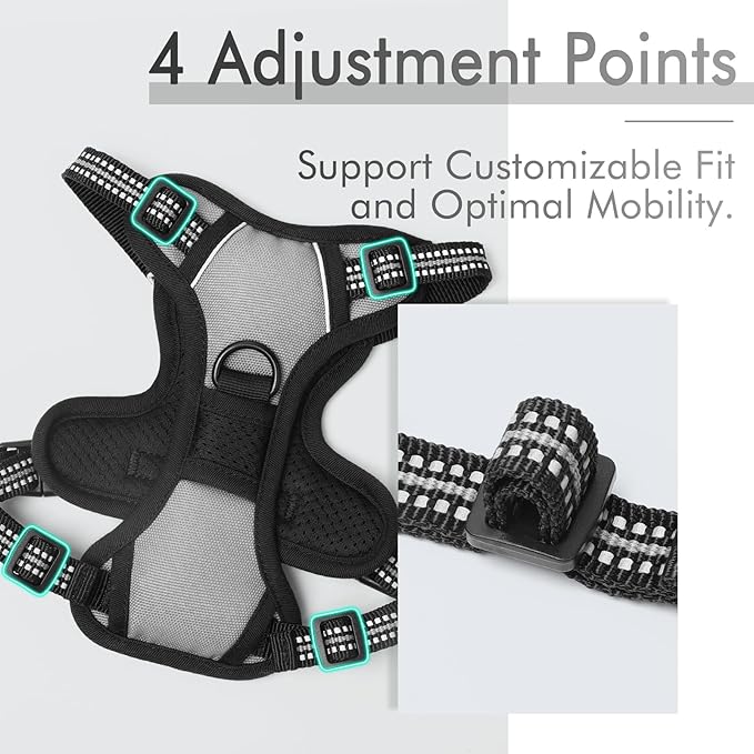 rabbitgoo Dog Harness 2 Leash