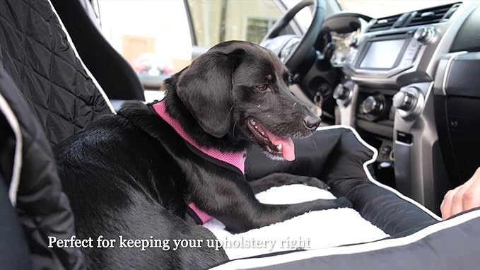 PetBed2GO 26x20x6, 3.5