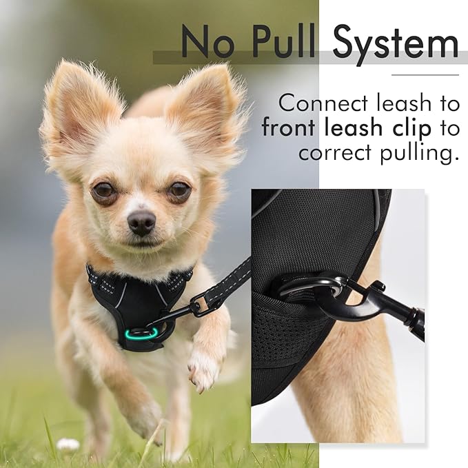rabbitgoo Dog Harness 2 Leash