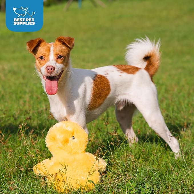 Best Pet Supplies Chicken Crinkle Plush Dog Toys for Interactive Play