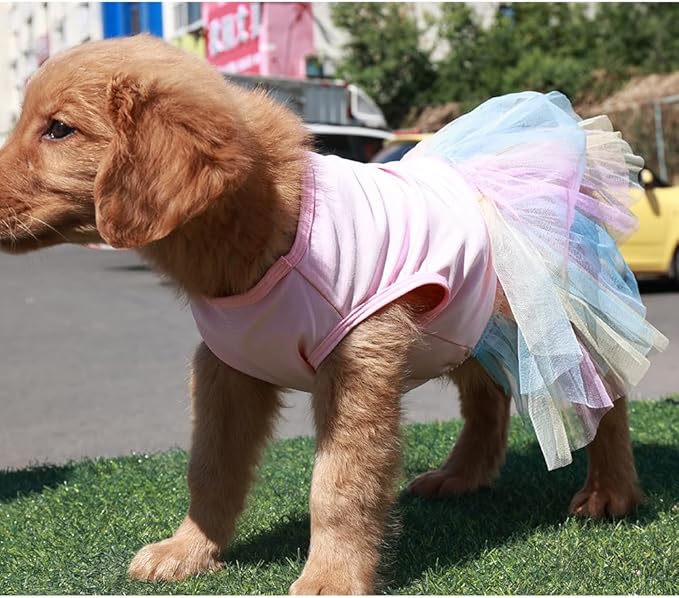 ANIAC Pink Dog Dress