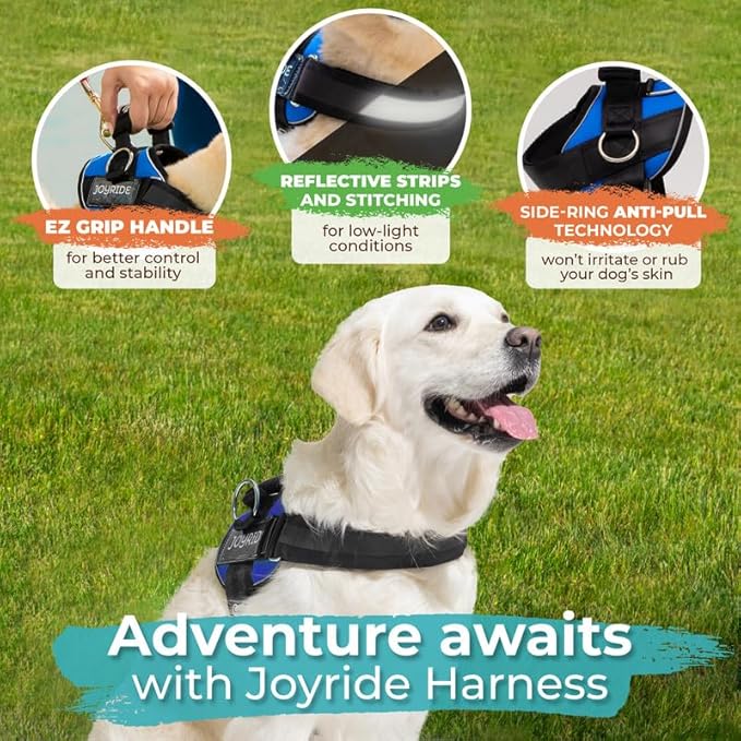 Joyride Harness 2.0 3 Leash