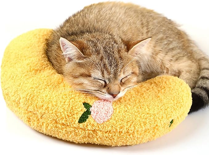 Cat Pillows for Indoor Cats