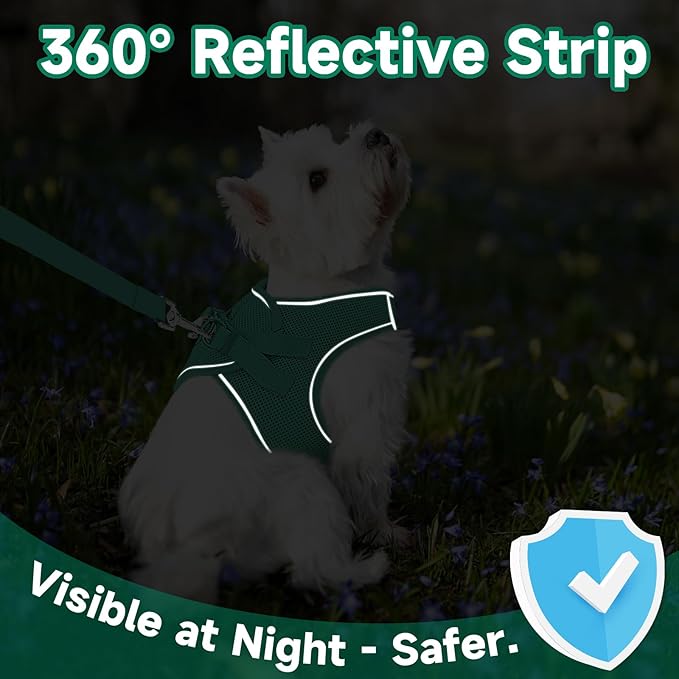 Supet Cat Harness and Leash Set for Walking