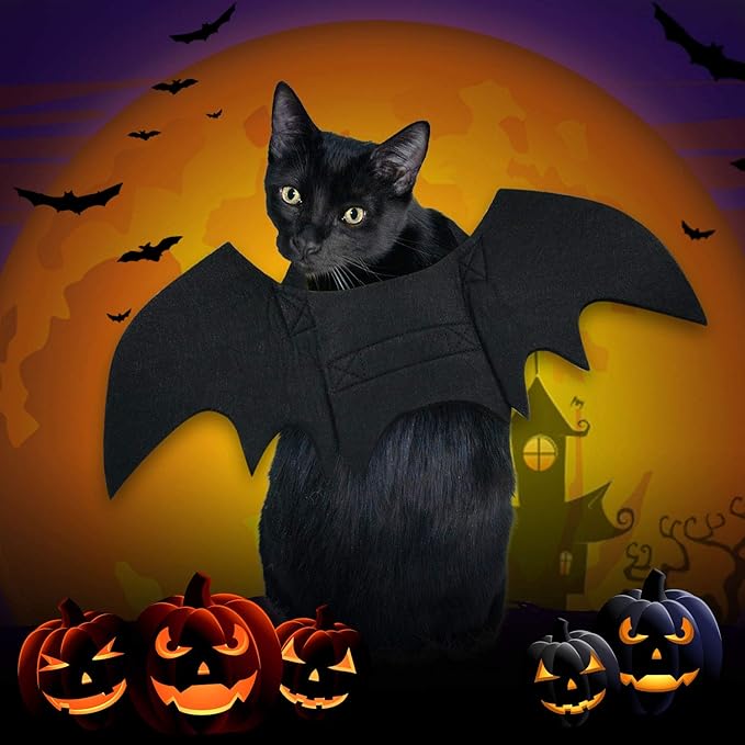 Rypet Cat Bat Costume