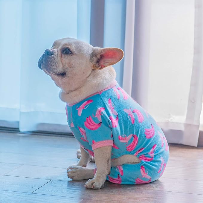 CuteBone Cat Apparel Pet Clothes Dog Onesies Winter P123S